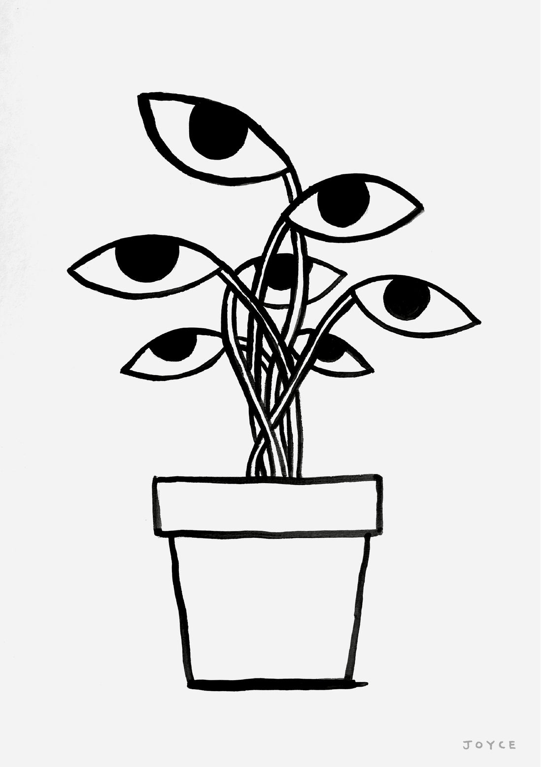 Plant Life